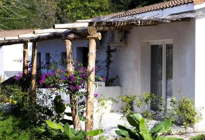 اتاق استاندارد سه نفره, Bv Kalafiorita Resort