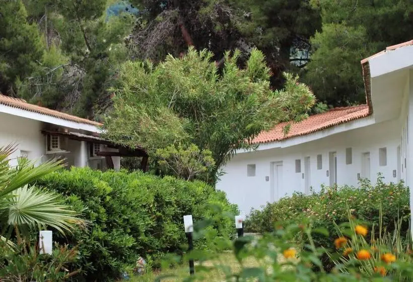 اتاق استاندارد چهار تخته, Bv Kalafiorita Resort