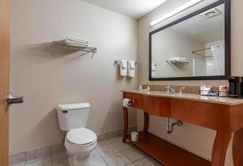 Sviitti King-vuode, Quality Inn Redgranite