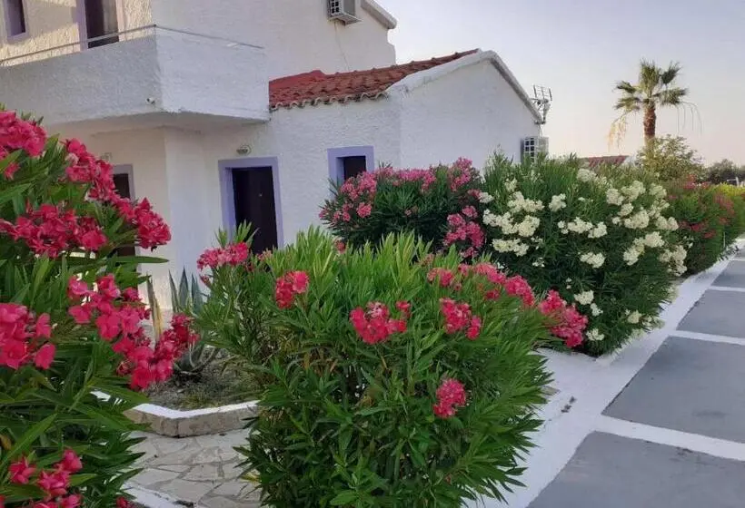 庭の見えるバルコニー月スタンダードルーム, Kefalonia Beach Hotel & Bungalows