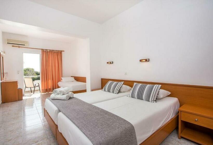 スタンダードスタジオ, Sam S Studios