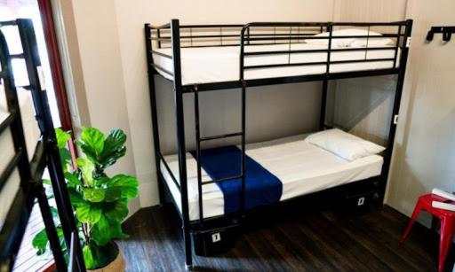 Vuode Makuusalissa, The Jack Backpackers