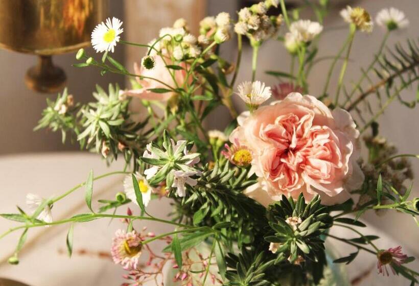 חדר סטנדרט, Moolmanshof