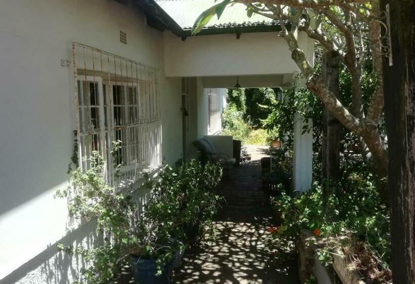 标准间, Valley Guest House