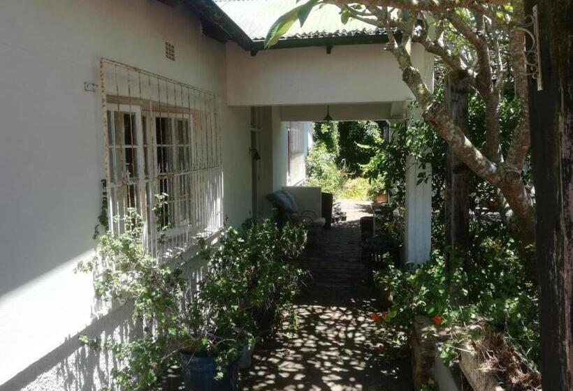 标准间带露台, Valley Guest House