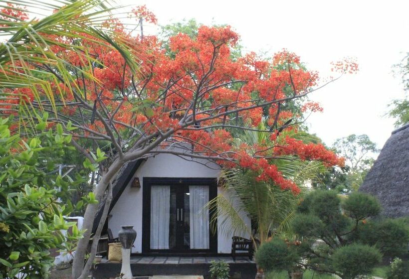 Бунгало Deluxe, Kaluku Gili Resort