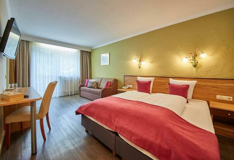 舒适型房间, Schachner