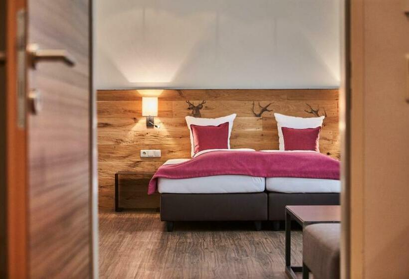 家庭间, Schachner