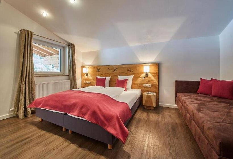 家庭间, Schachner