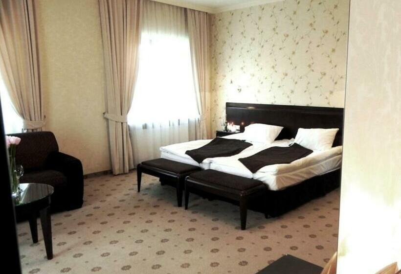 Номер Стандарт, Willa Zagórze