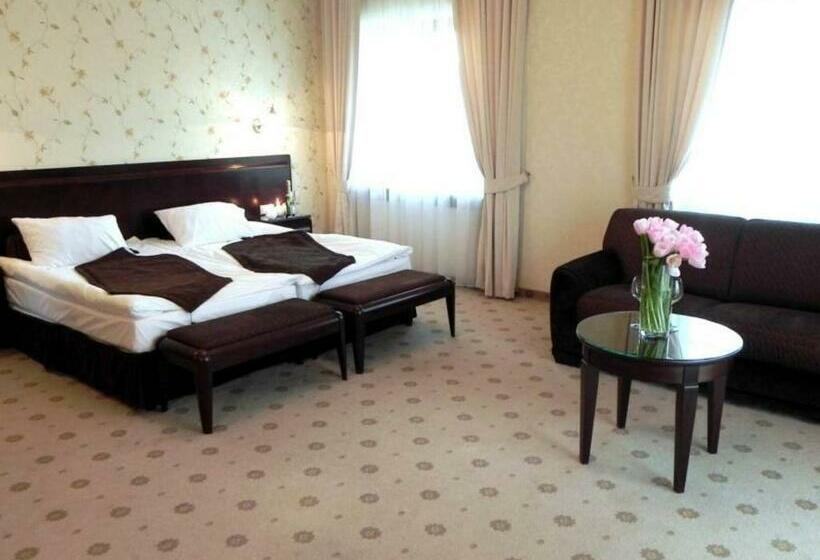 Номер Deluxe, Willa Zagórze