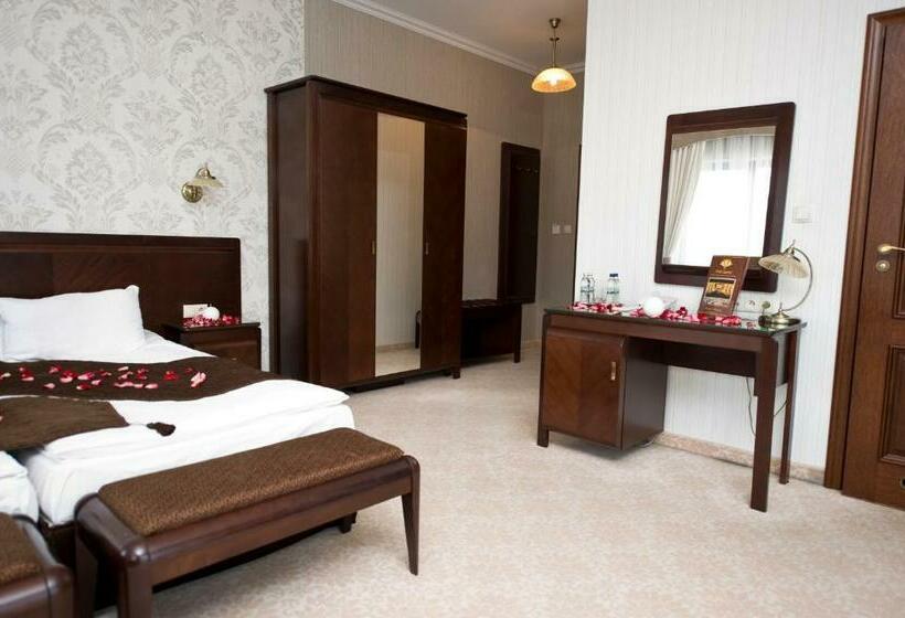 デラックスルーム, Willa Zagórze