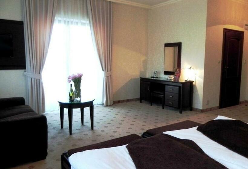 Номер Deluxe, Willa Zagórze