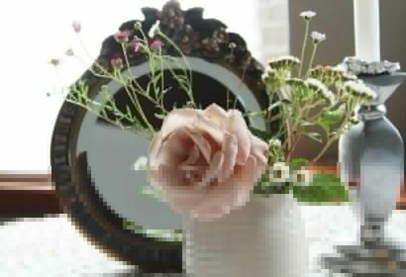 חדר סטנדרט, Moolmanshof