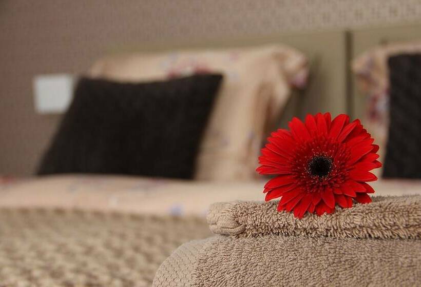 غرفة قياسية, B&b @ Room's