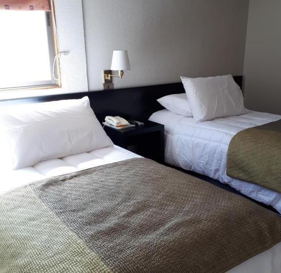 이그제큐티브 룸, Gavina Express