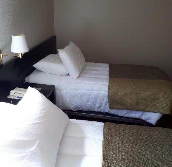 이그제큐티브 룸, Gavina Express