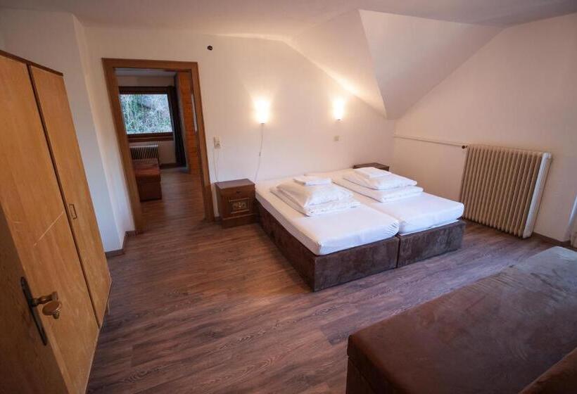 آپارتمان 2 خوابه با بالکن, Hostel Chillertal