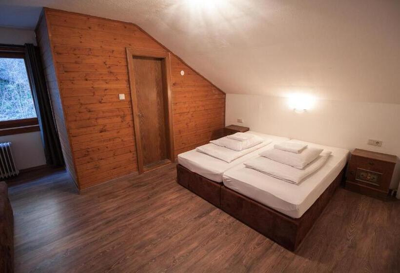 آپارتمان 2 خوابه با بالکن, Hostel Chillertal