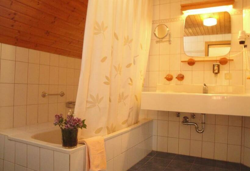 חדר סטנדרט, Landhotel Restaurant Hubinger