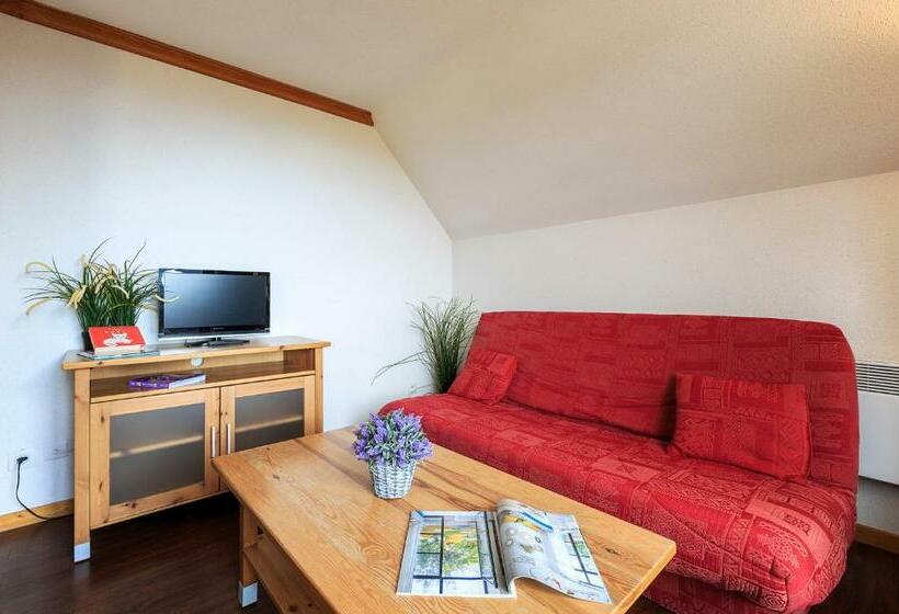 带1个卧室带观景的公寓, O   Sancy Résidence De Tourisme