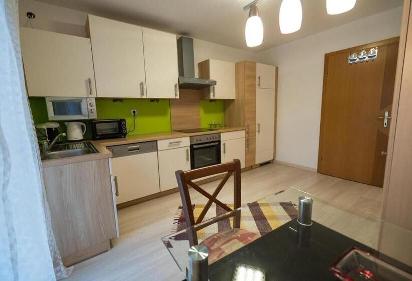 דירת חדר עם טרסה, Rosmann