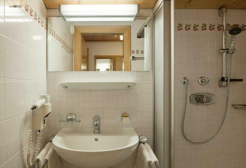 סטודיו סטנדרט עם מרפסת, Wetzlgut