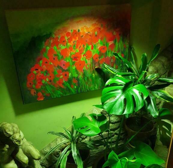 جناح مزود بجاكوزى, B&b Huyze Walburga