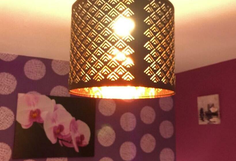 コンフォートトリプルルーム, B&b Kookhai