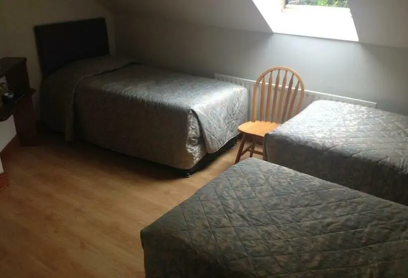 Standard Kolmen Hengen Huone, Carragh House