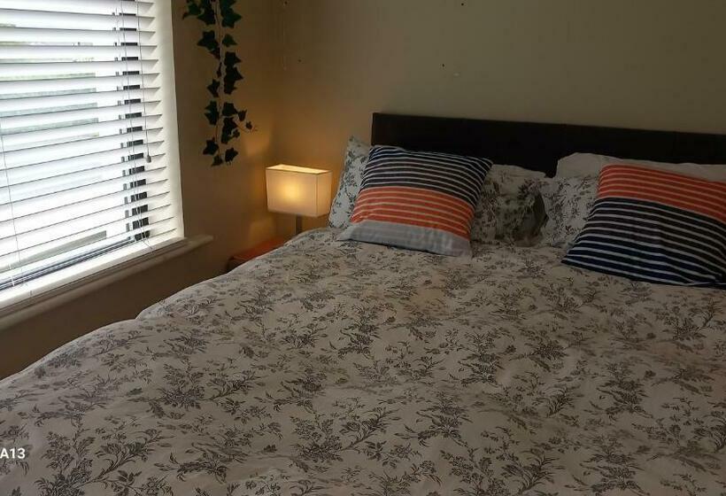 수피리어 스튜디오, Relax At Safe Haven