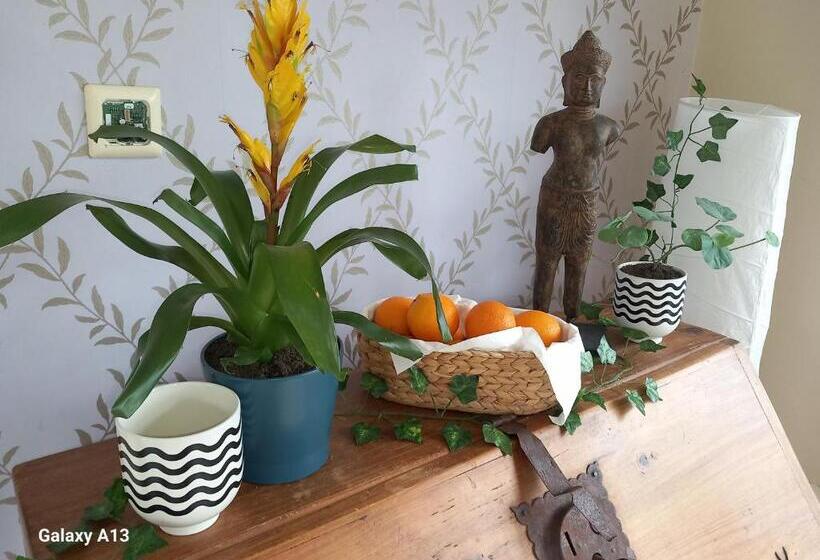 4间卧室的房子, Relax At Safe Haven