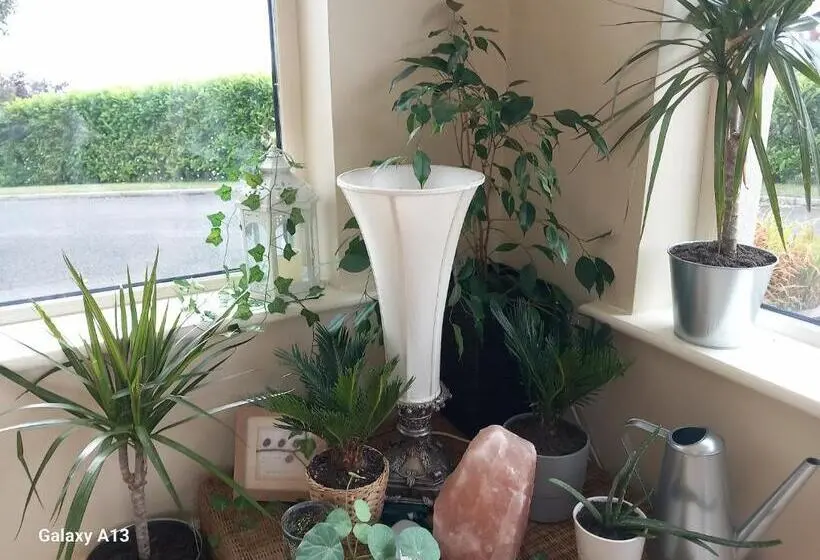 ４ベッドルームハウス, Relax At Safe Haven