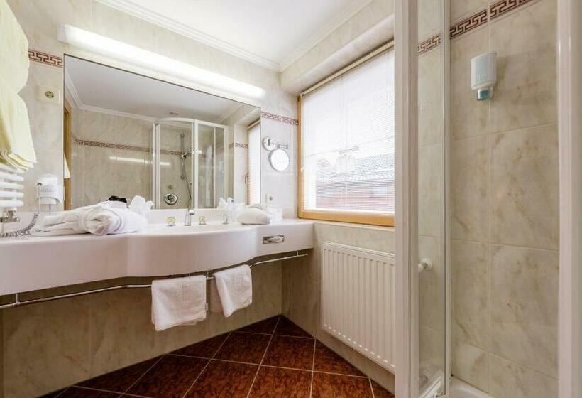 Номер Стандарт с Балконом, Garni Serfauserhof