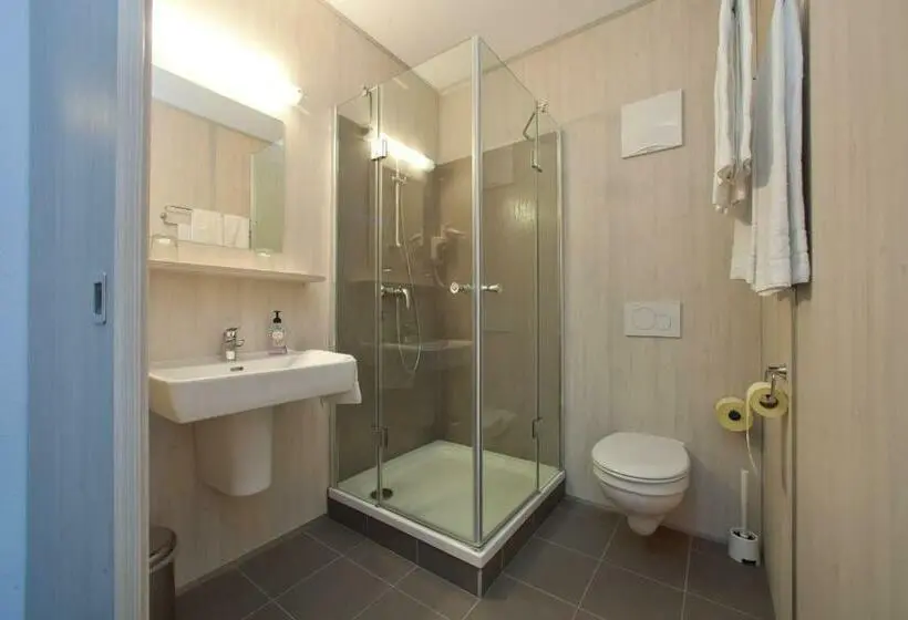 Superior-huone, Motel Hohenems