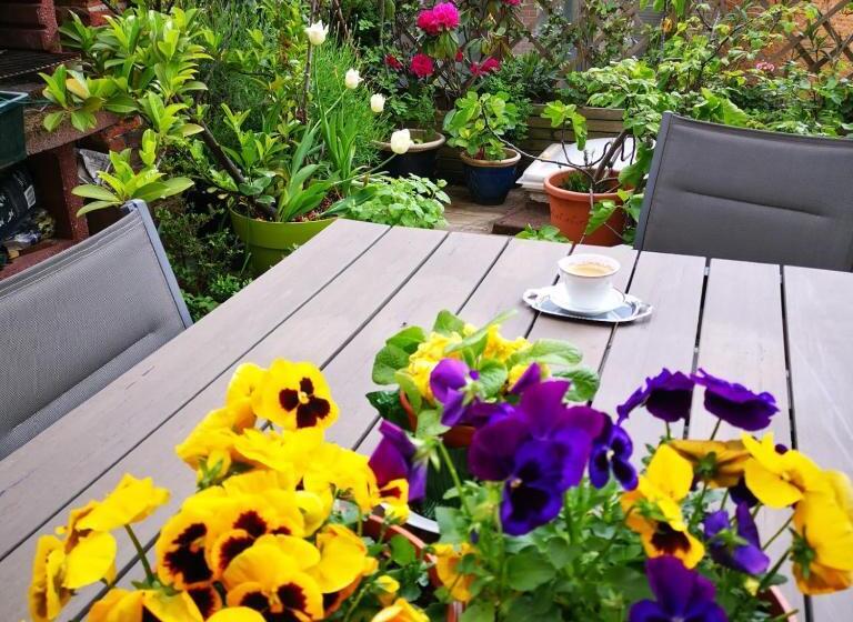 コンフォートルーム, La Ducale B&b