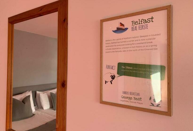 标准间, Dingle Marina Lodge