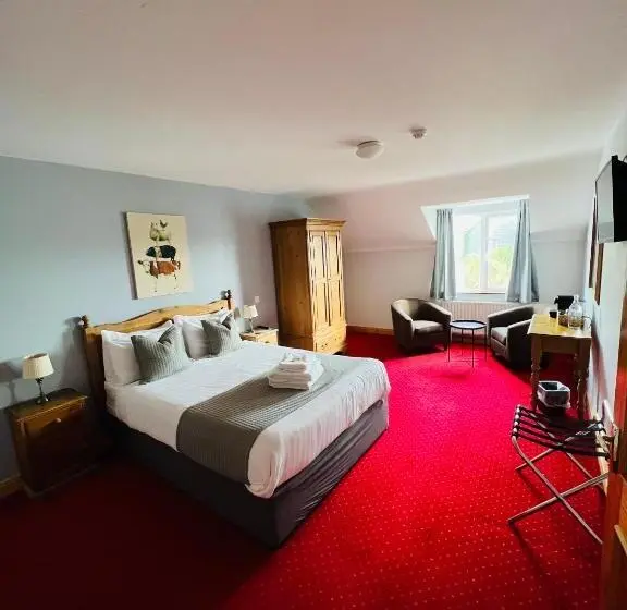 オーシャンビューデラックスルーム, Dingle Marina Lodge