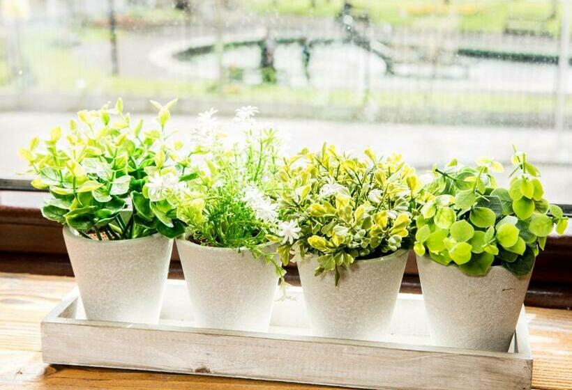 חדר סטנדרט חדר אמבטיה משותף, Tipperary House Dublin