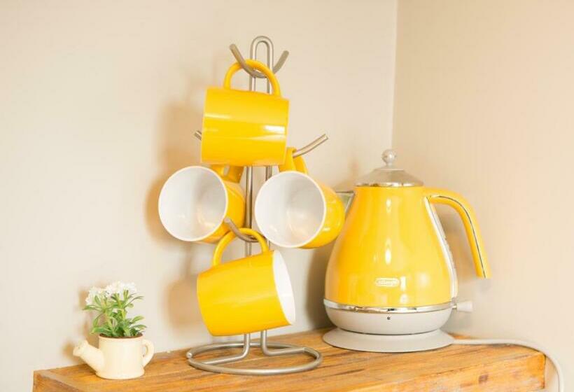 חדר סטנדרט חדר אמבטיה משותף, Tipperary House Dublin