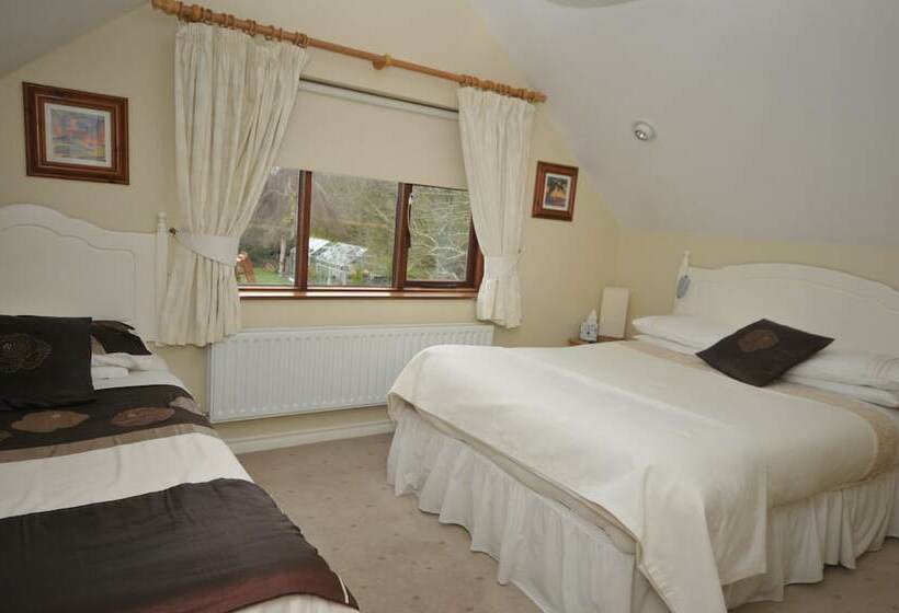 スタンダードシングルルーム, Heritage Accommodation