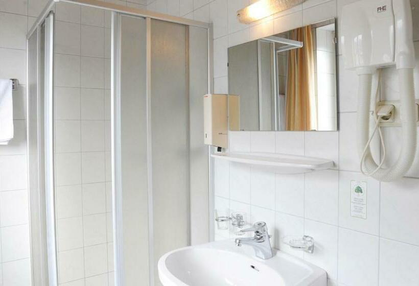 غرفة قياسية فردية, Hafnerwirt