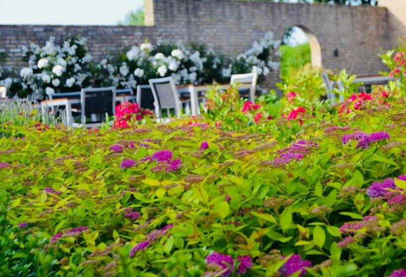 デラックスルーム, Het Heilig Genot