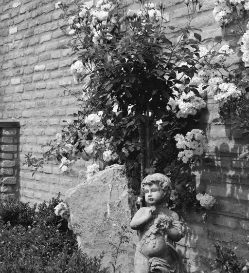 デラックスルーム, Het Heilig Genot