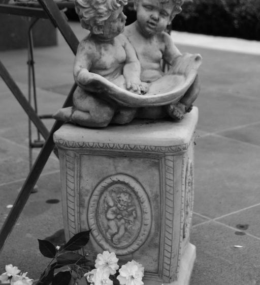 コンフォートルーム, Het Heilig Genot