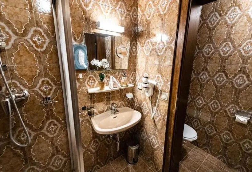 Standard Yhden Hengen Huone, Olympia