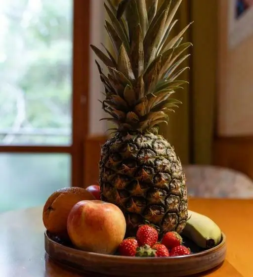 スタンダードルーム, Restaurant Südrast Dreiländereck