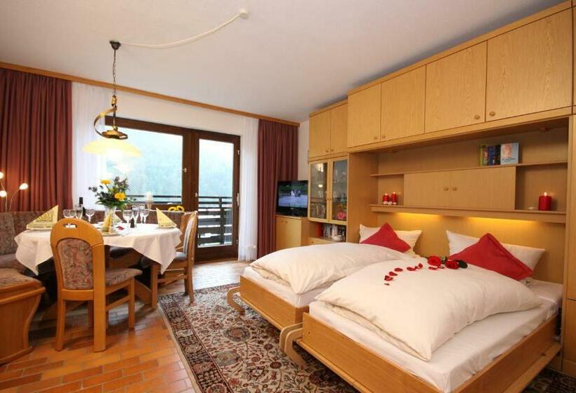 إستوديو قياسى, Sporthotel Walliser