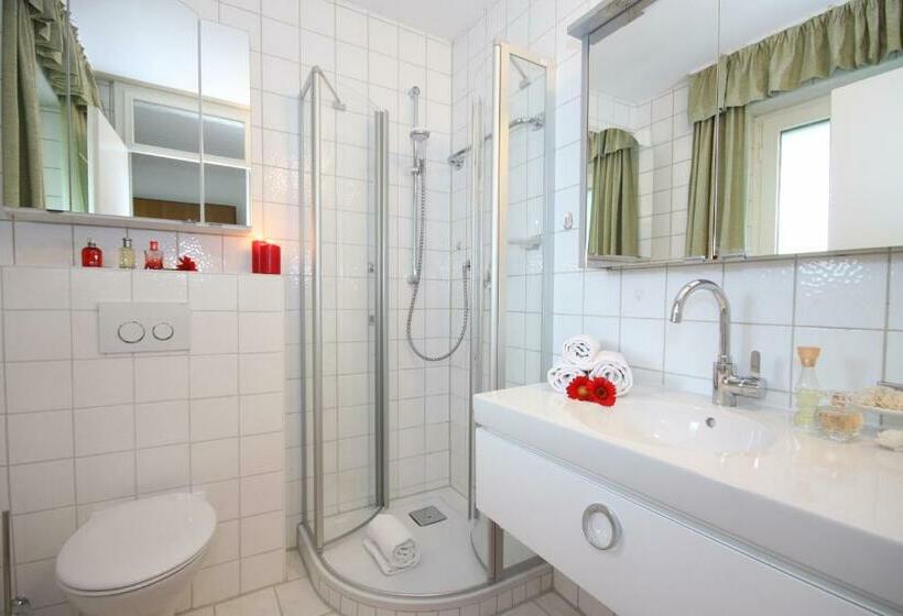 Студия Стандарт, Sporthotel Walliser