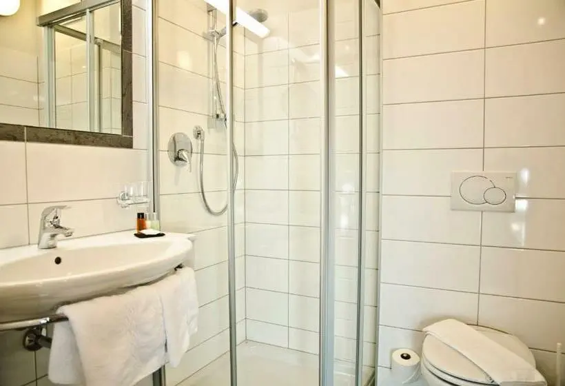 Habitación Estàndard Individual, Tannenhof
